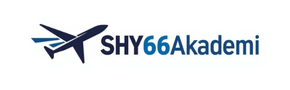 Shy66 Akademi